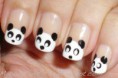 /album/fenykepgaleria/panda-jpg/